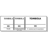 Blocchetto lotteria 100 foglietti numerati 3 sezioni