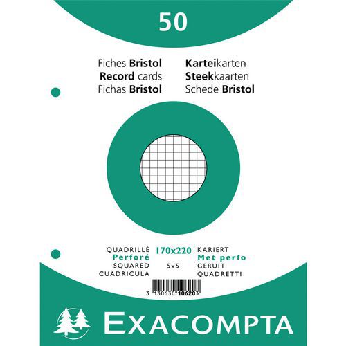 Confezione da 50 schede con pellicola a quadretti perforate 170 x 220 mm Confezione da 50 schede con pellicola a quadretti perforate 170 x 220 mm